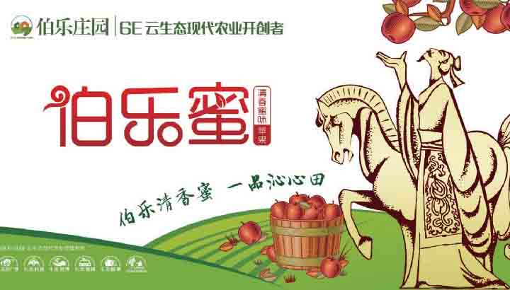 山东水发集团