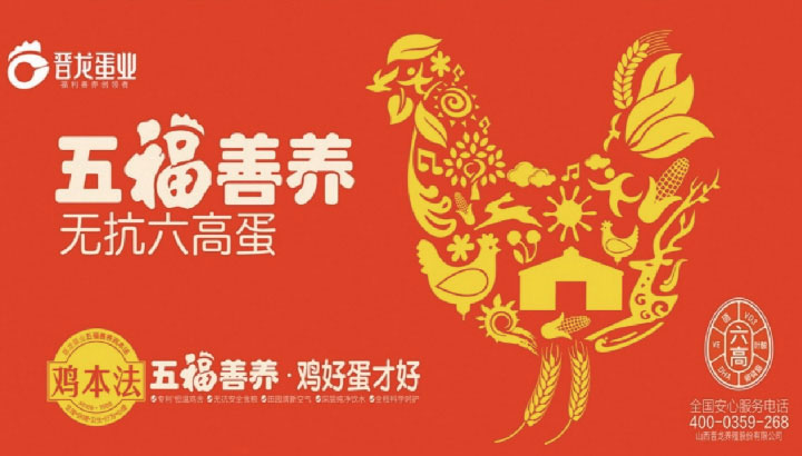 晋龙·六无安全蛋