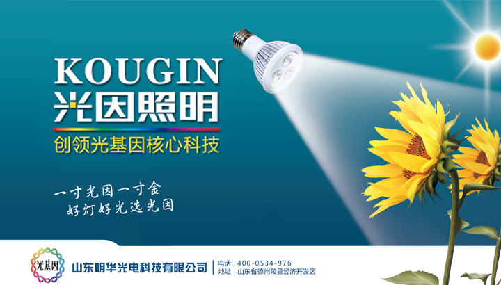 光因照明