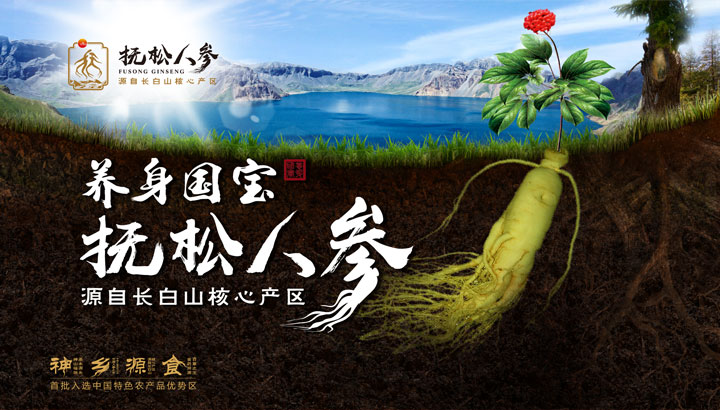 抚松人参