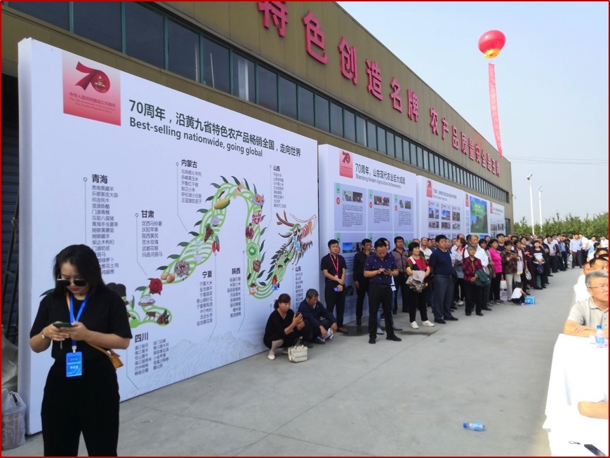 图片10.jpg