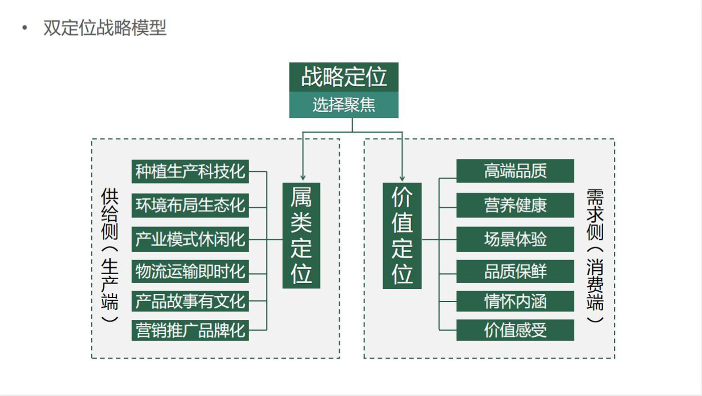 双定位战略模型