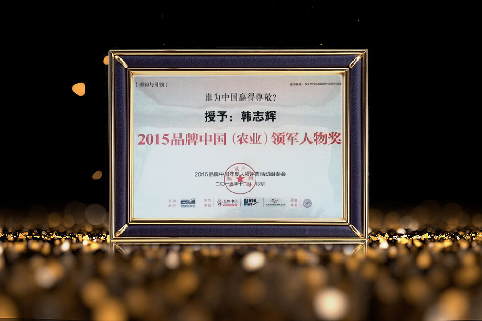 2015品牌中国领军人物奖