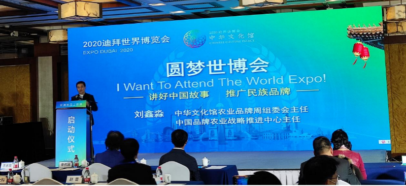 图片13.png