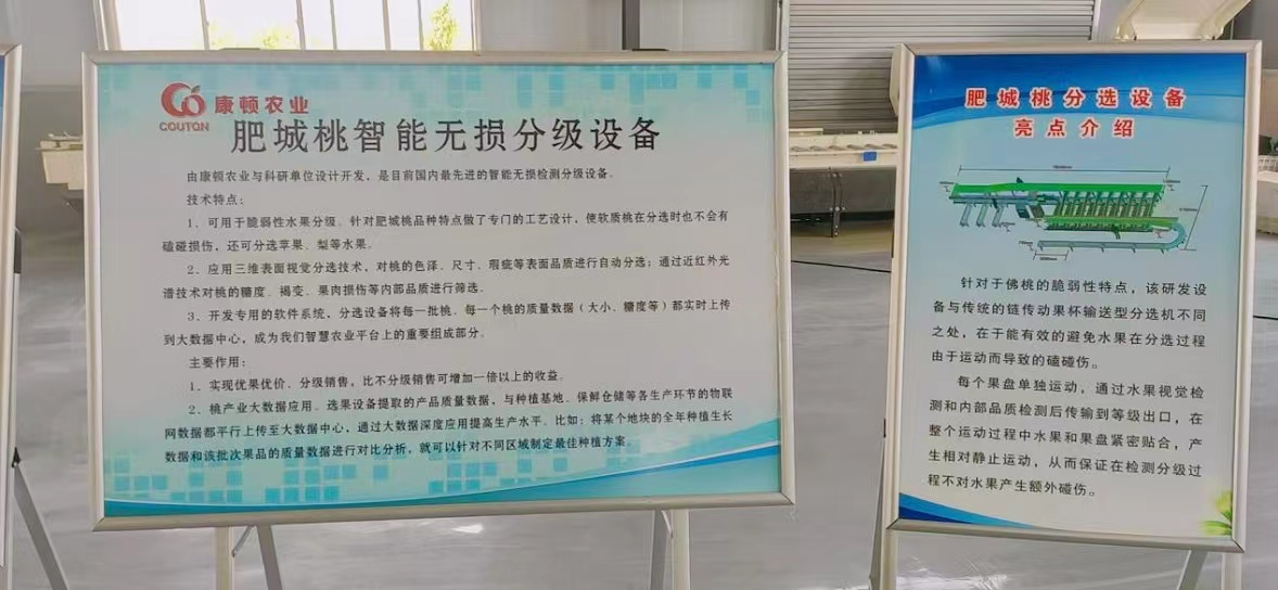 图片19.png