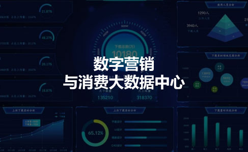 数字营销与消费大数据中心